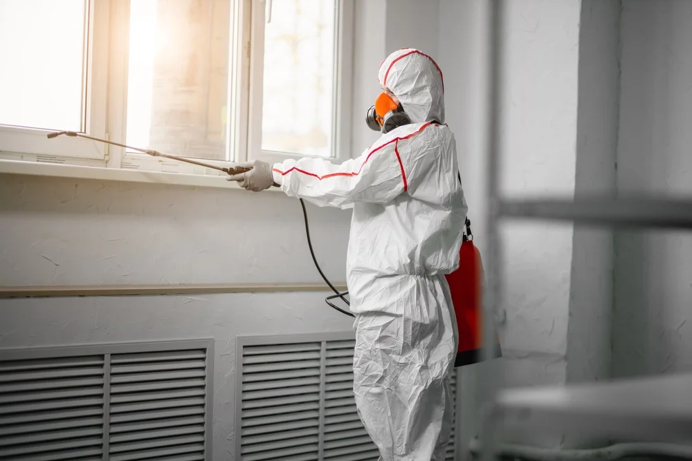 Professional mold remediation services in Wolfeboro, NH